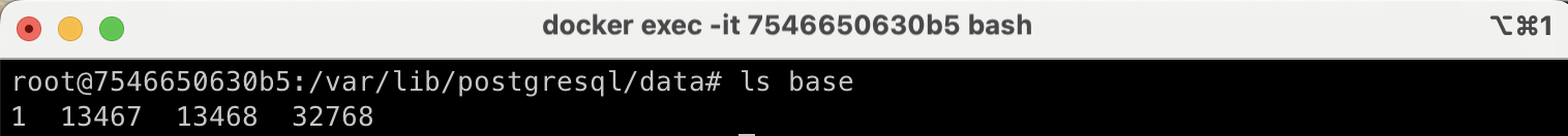 select-database-on-docker